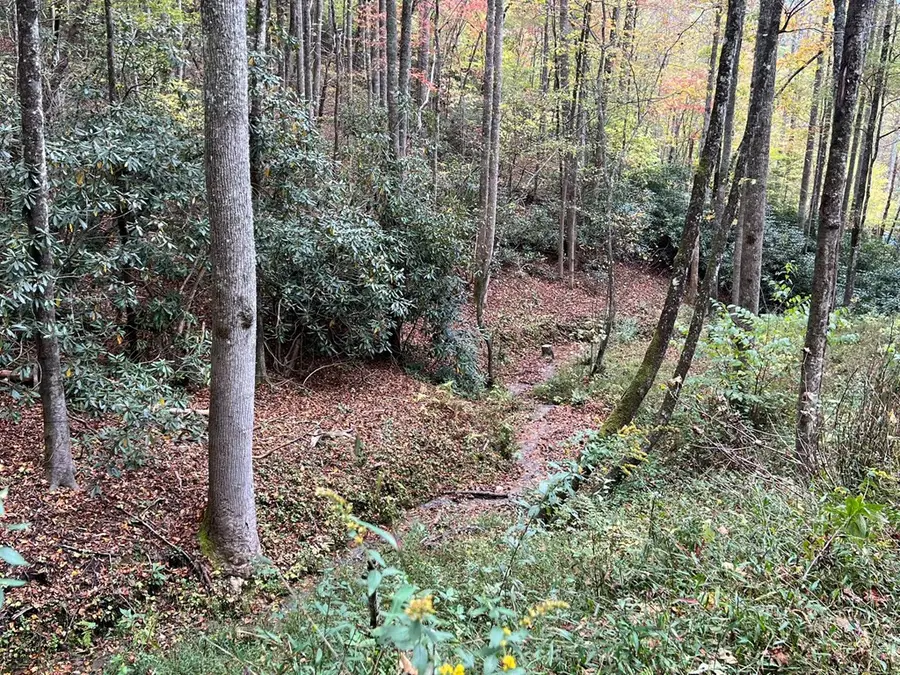 Lot 17 Black Bear Trail, Nantahala, NC 28781 - #3