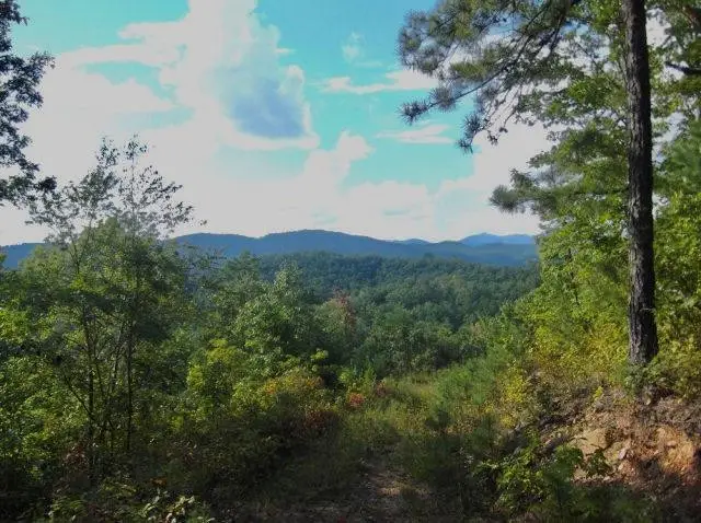 2.57 Scottie Mountain Circle, Murphy, NC 28906 - #2