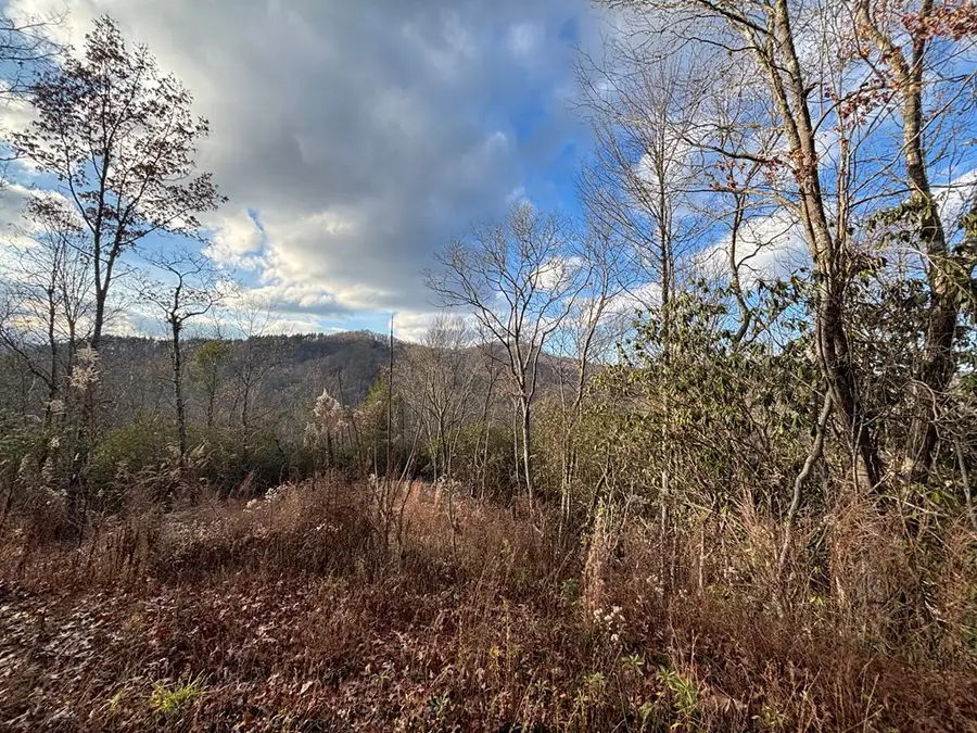2.02 AC Viewforth, Nantahala, NC 28781 - #3