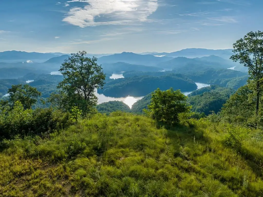 000 Highway 19, Almond, NC 28702 - #1