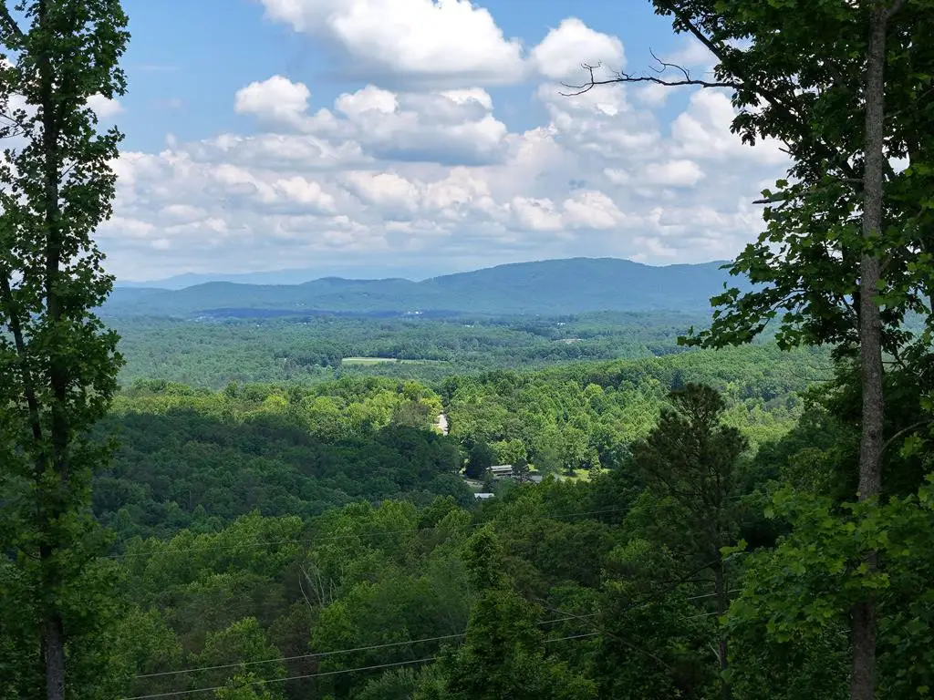 Lot 139 Winding Ridge, Blairsville, GA 30512 - #1