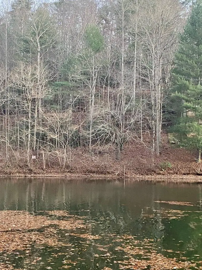 Lot 5 The Landings, Robbinsville, NC 28771 - #1