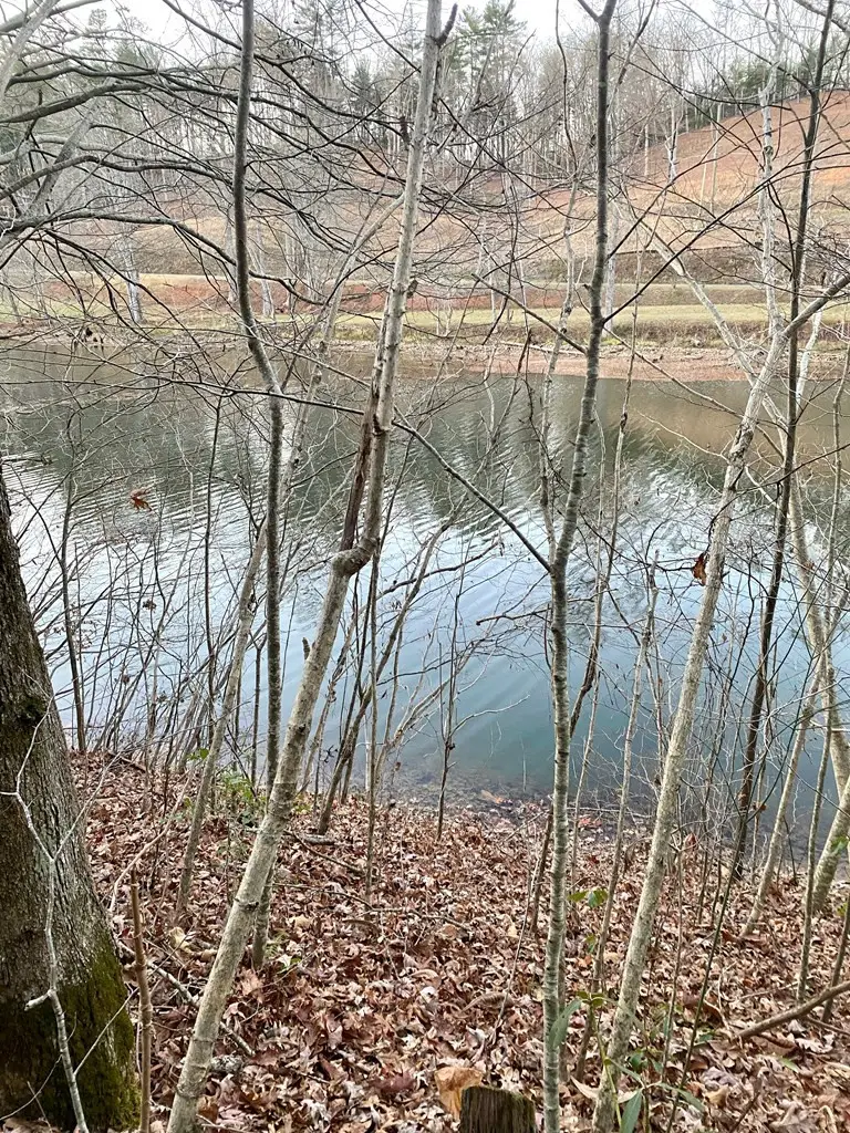 Lot 5 The Landings, Robbinsville, NC 28771 - #3