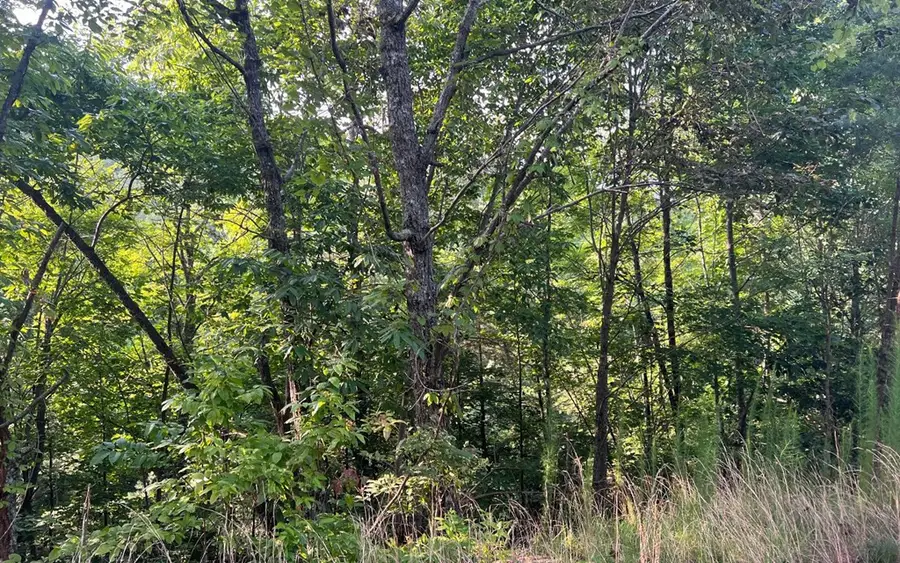 Lot 11 The Preserve, Brasstown, NC 28902 - #2