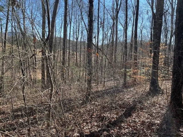 Lot 2E The Woodlands, Hayesville, NC 28904 - #2