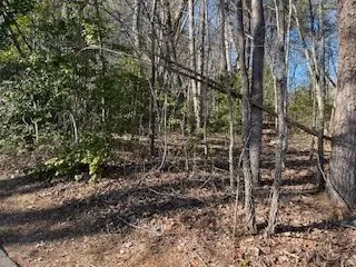 Lot 2E The Woodlands, Hayesville, NC 28904 - #3
