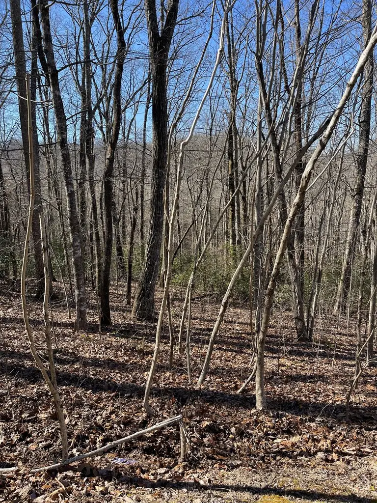 Lot 34J Ash Branch Road, Hayesville, NC 28904 - #3