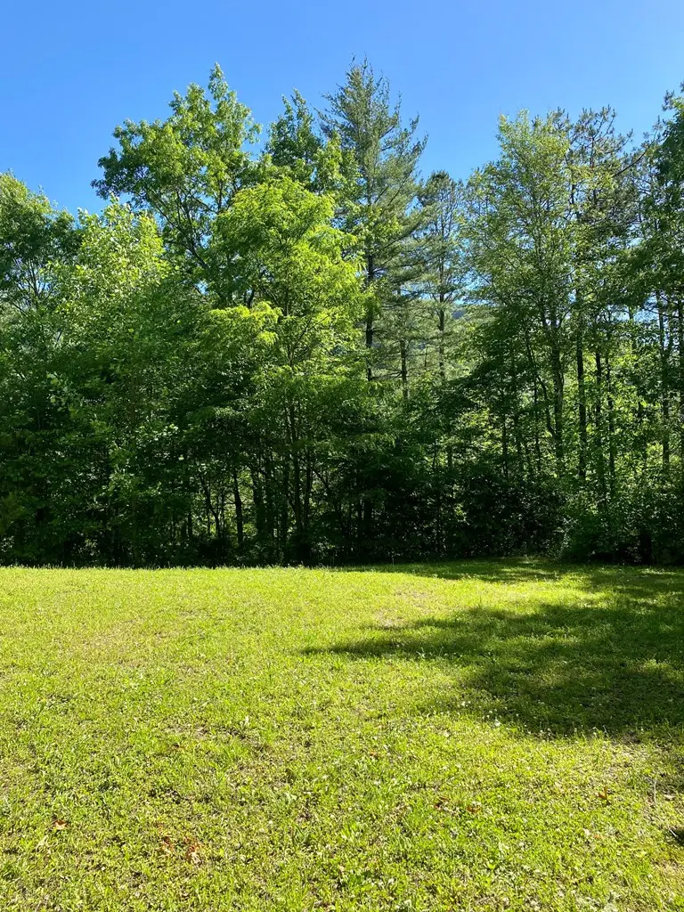 00 Deer Run, Robbinsville, NC 28771 - #2