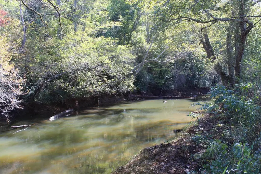Lot 23 Valley Hideaway Drive, Hayesville, NC 28904 - #1
