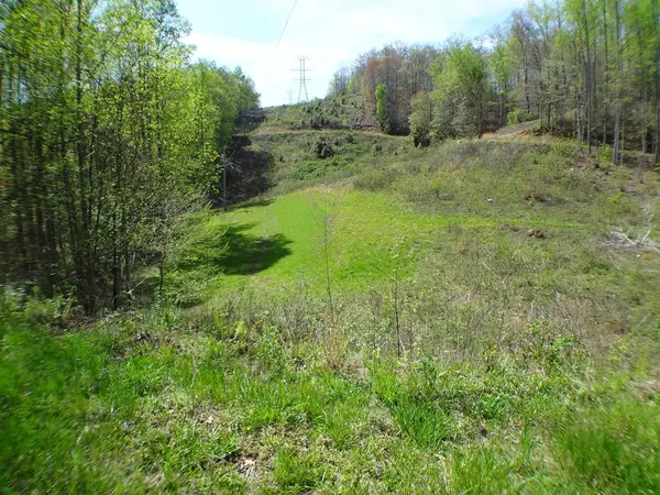 Lot10&11 Deweese Road, Topton, NC 28901