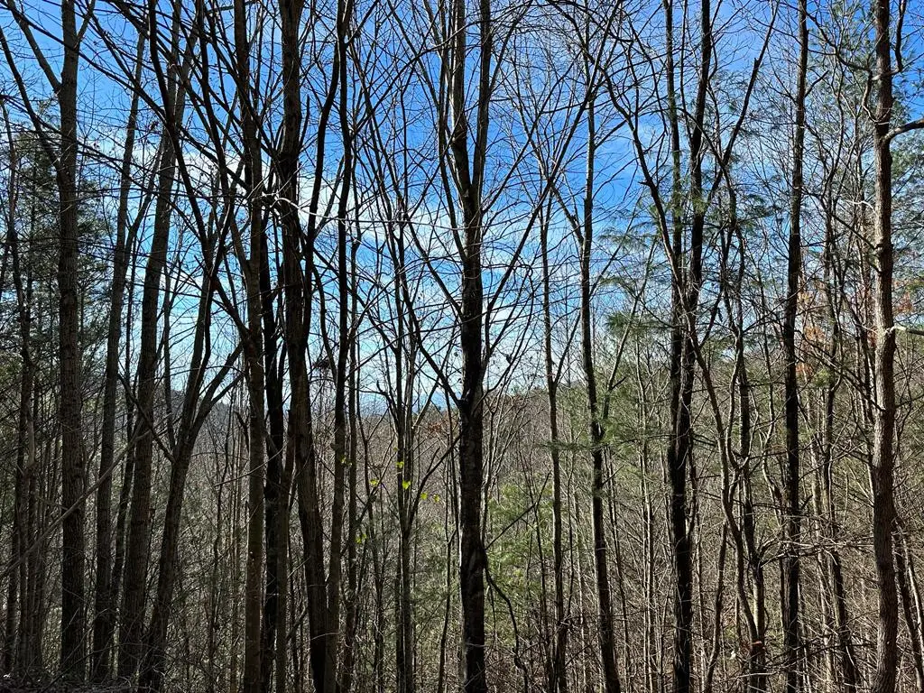 5 lots Ali Drive, Hayesville, NC 28904 - #1