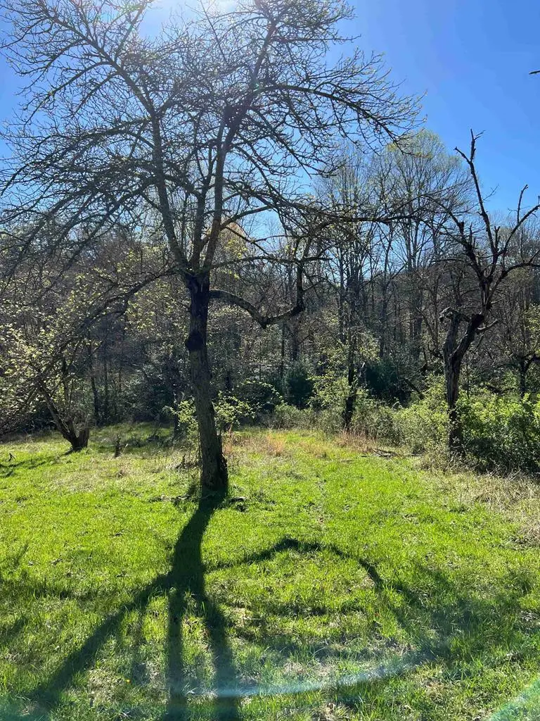 4.90 Wayah Road, Topton, NC 28781 - #2