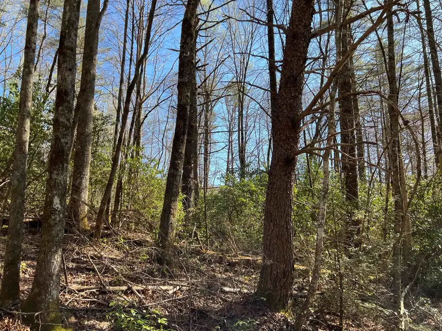 4.90 Wayah Road, Topton, NC 28781 - #3