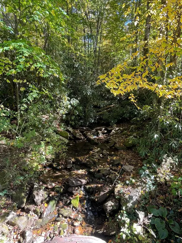 00 E Mill Creek, Robbinsville, NC 28771