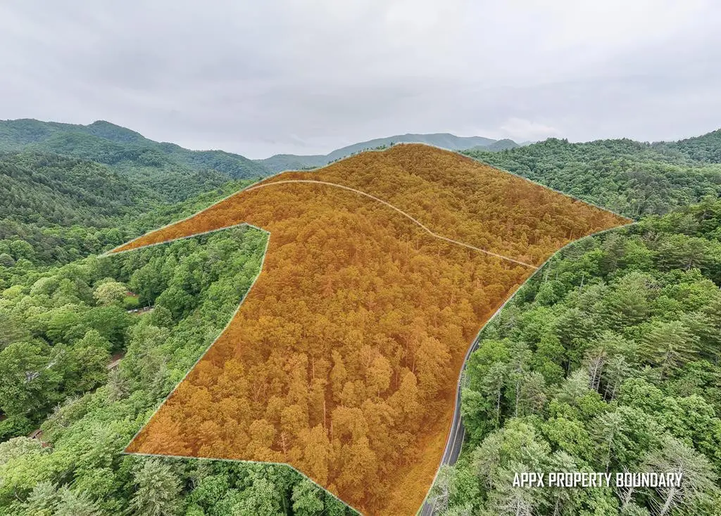 399 Shell Stand Road, Almond, NC 28702 - #1