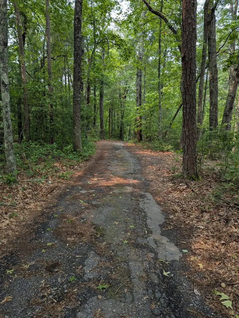 00 Martin Road, Murphy, NC 28906 - #2