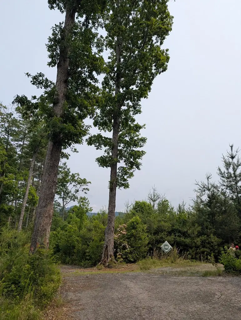 00 Martin Road, Murphy, NC 28906 - #3