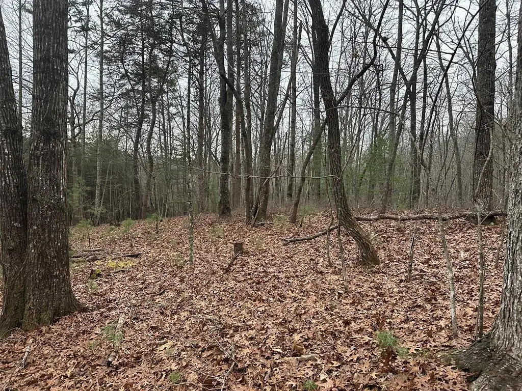 00 Marrestop, Murphy, NC 28906 - #1