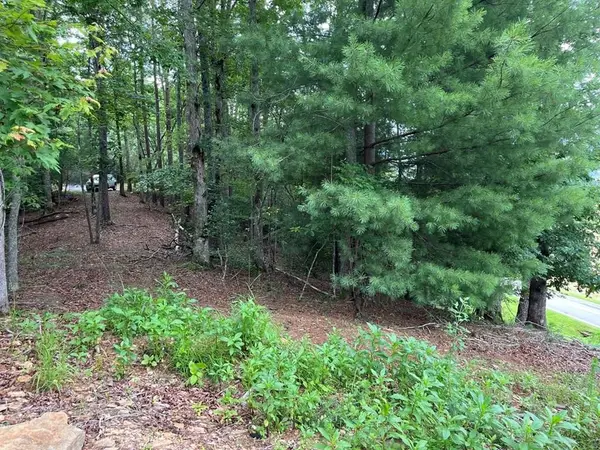 71 Martin Hills Drive, Murphy, NC 28906