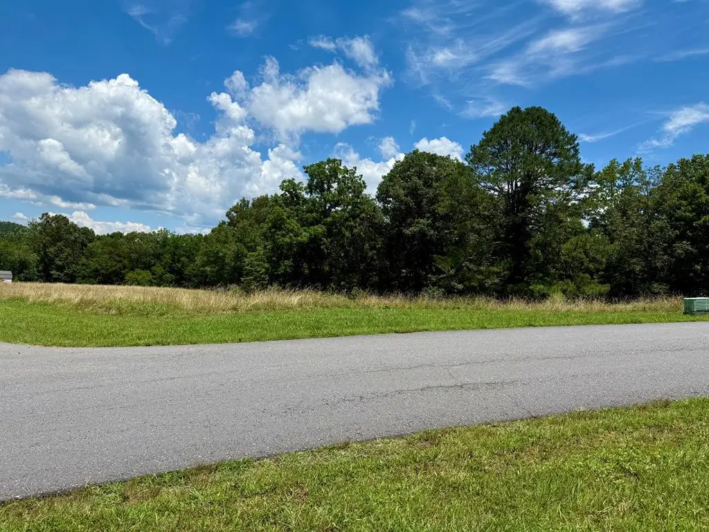 0 Dewey Lane, Murphy, NC 28906 - #1