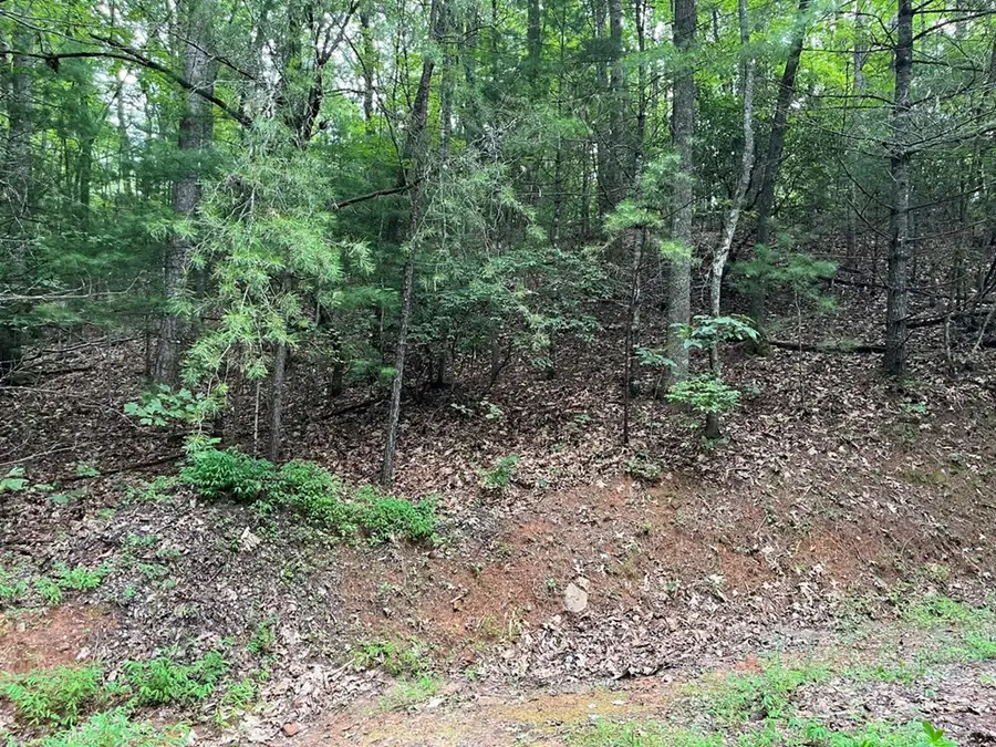 TBD Atoah Loop, Murphy, NC 28906 - #2