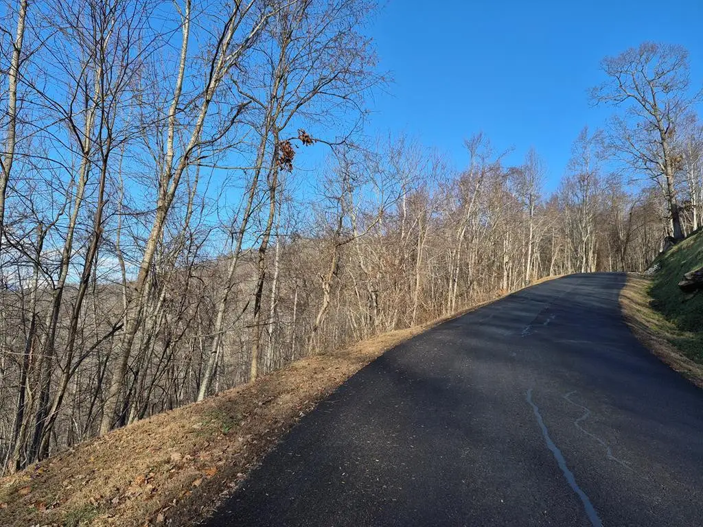 Lot 62 Dan Knob, Hayesville, NC 28904 - #1