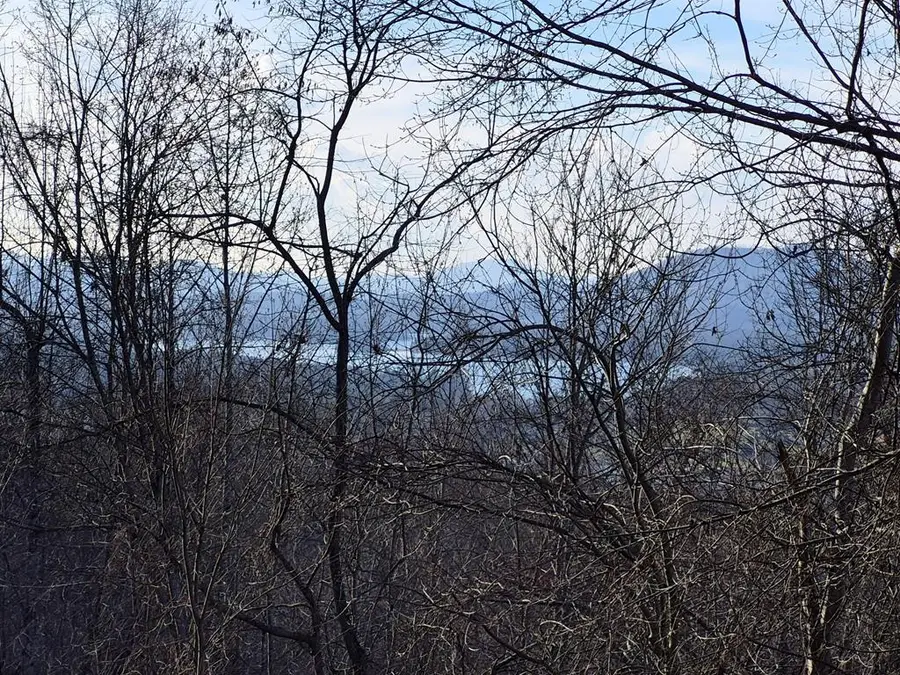 Lot 62 Dan Knob, Hayesville, NC 28904 - #3