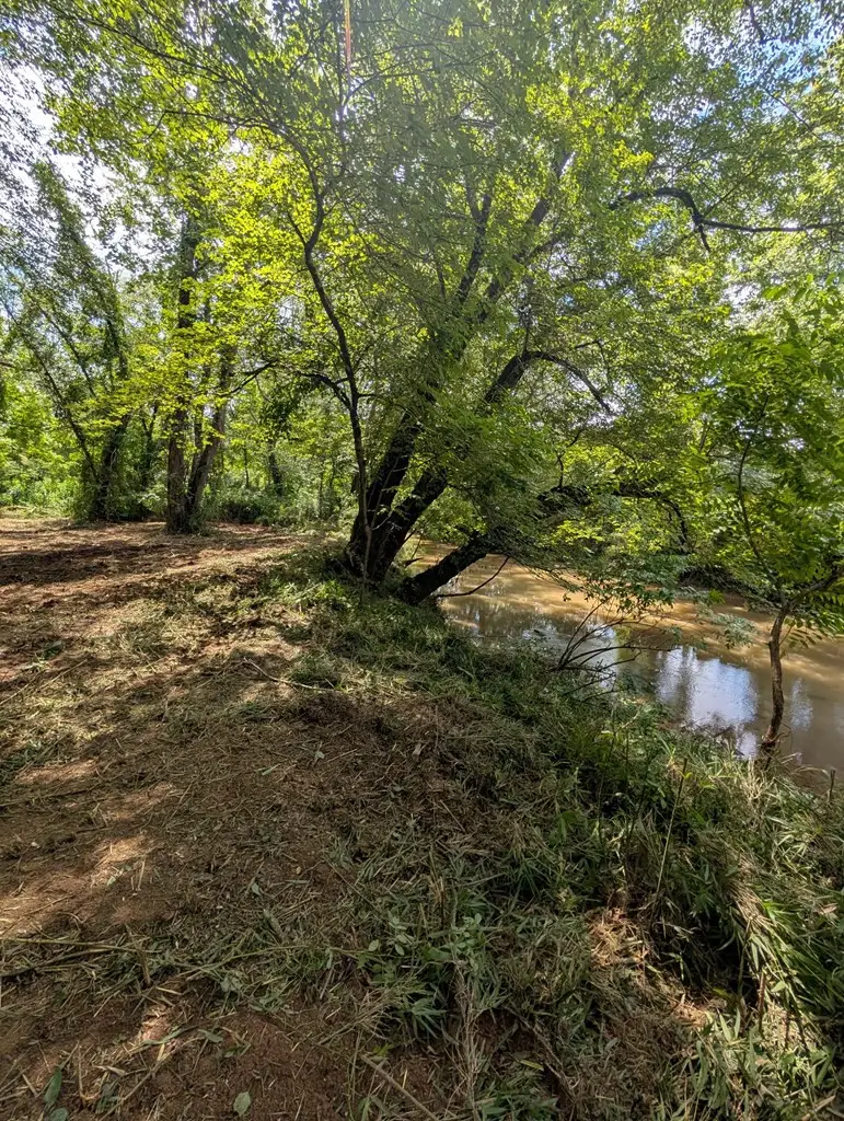1.0 Ac Old Highway 64 W, Warne, NC 28909 - #2