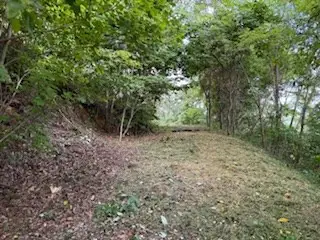Lot 30 Hickory Cove Road, Bryson City, NC 28713 - #3