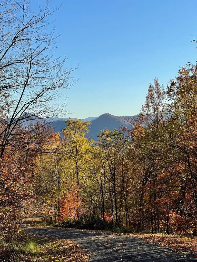 Lot 58M Ridges, Hayesville, NC 28904 - #1
