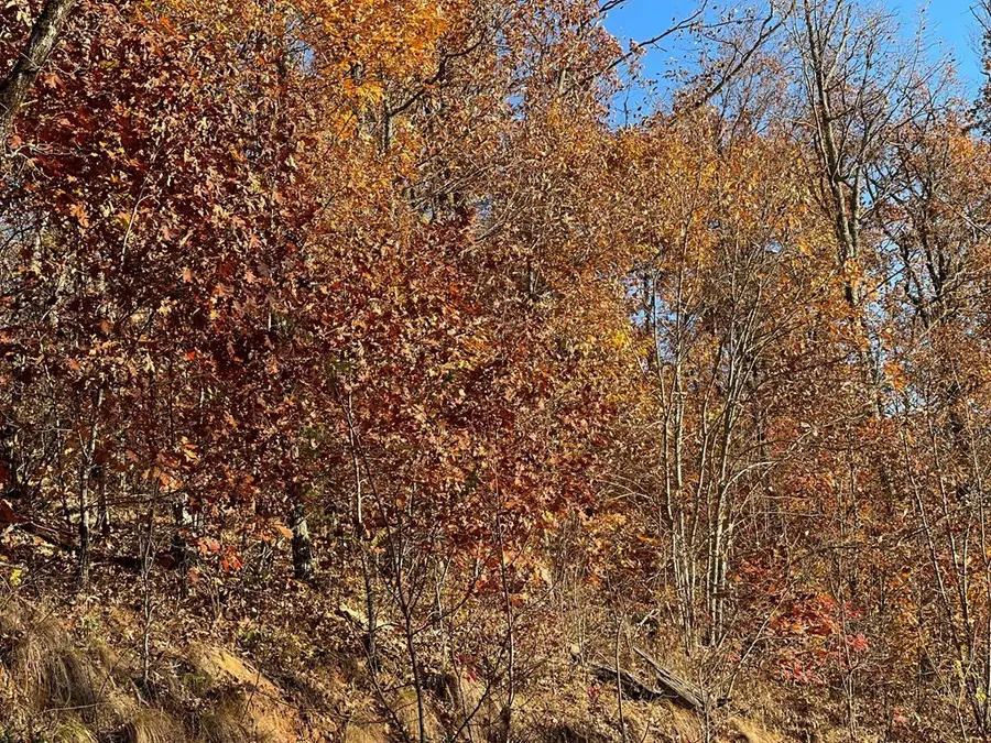 Lot 58M Ridges, Hayesville, NC 28904 - #3
