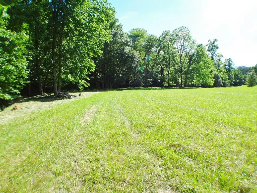 Lot #3 Stonebrook Heights, Franklin, NC 28734 - #1