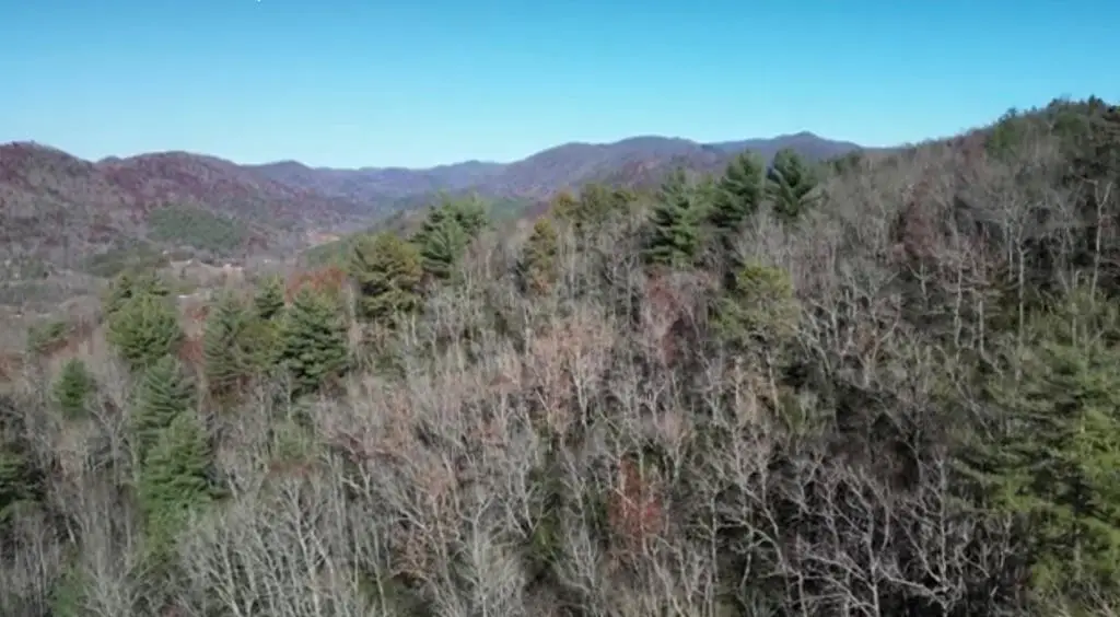 NA W Mill Creek, Robbinsville, NC 28771 - #1