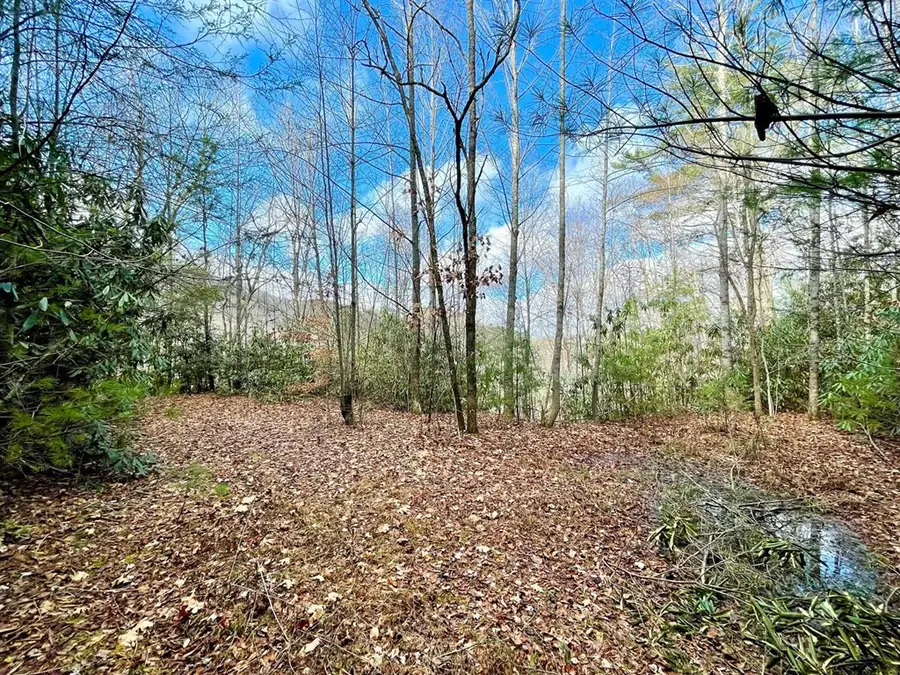 NA W Mill Creek, Robbinsville, NC 28771 - #2