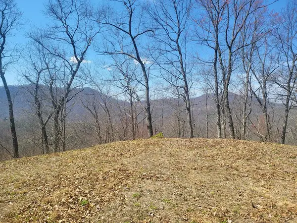 SR 1229 Dry Creek, Robbinsville, NC 28771
