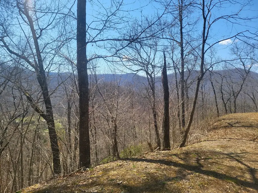 SR 1229 Dry Creek, Robbinsville, NC 28771 - #2