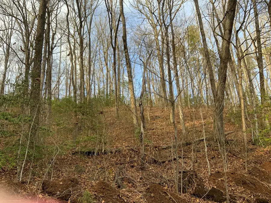 Lot 4 Ivy Log Road, Murphy, NC 28906 - #3