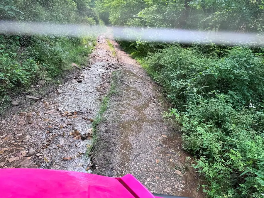88 acres Bolden Branch, Andrews, NC 28901 - #2