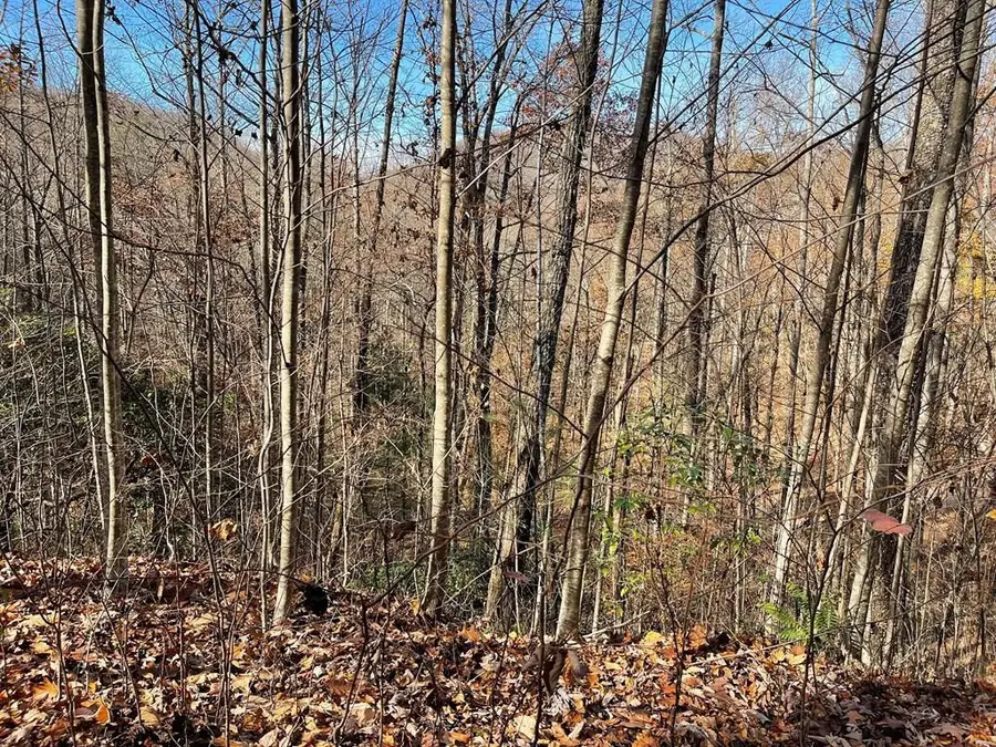 Lot 49j Indian Trail, Hayesville, NC 28904 - #2