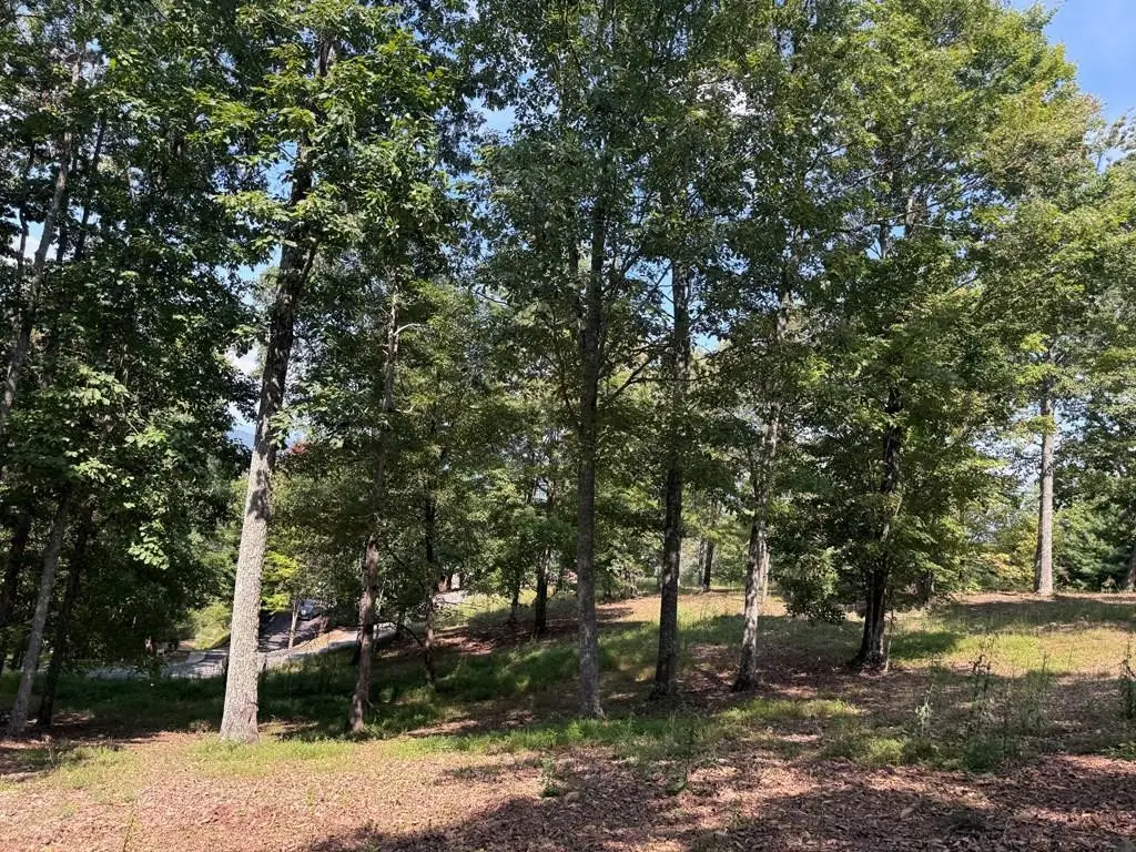0 Madison Lane, Brasstown, NC 28902 - #1