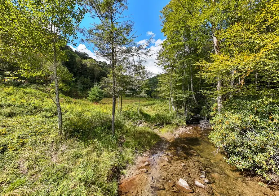 9765 Little Snowbird Road, Robbinsville, NC 28771 - #2