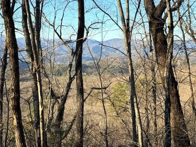 7.0 ac Laurel Drive, Marble, NC 28905 - #1