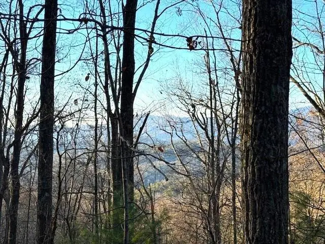 7.0 ac Laurel Drive, Marble, NC 28905 - #3