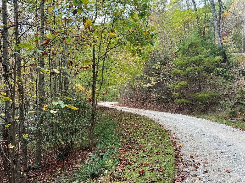 Lot 18 Black Bear Trail, Nantahala, NC 28781 - #1
