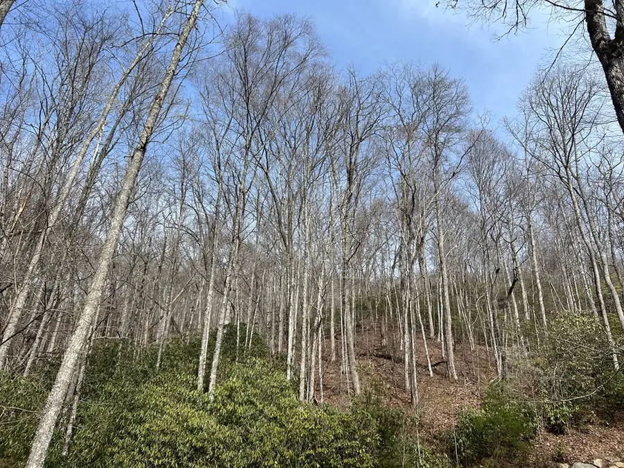 Lot 18 Black Bear Trail, Nantahala, NC 28781 - #3