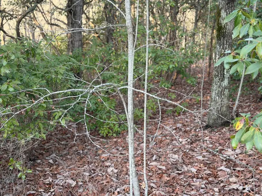 Lot #118 Royal View Landing, Murphy, NC 28906 - #2