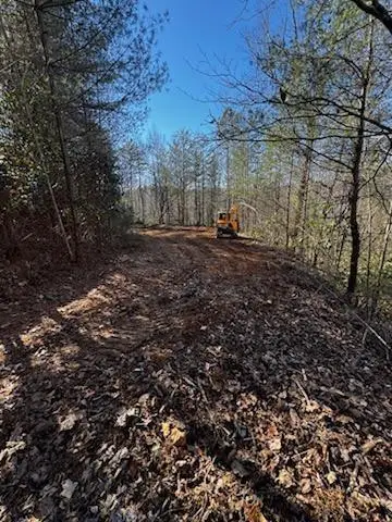 Lot 15 Paradise, Marble, NC 28905 - #1