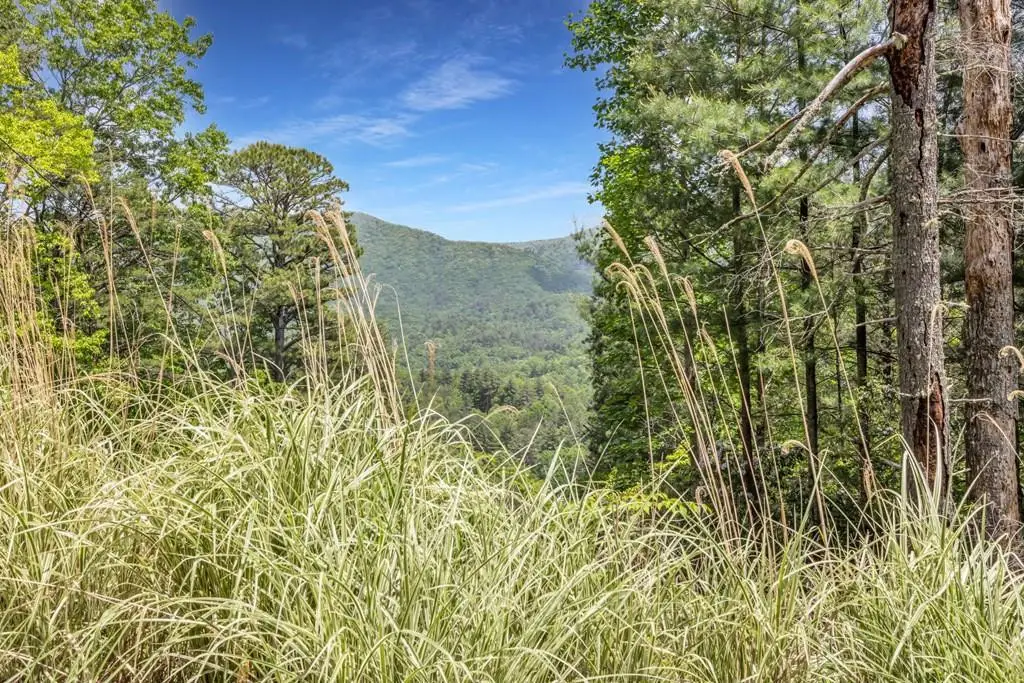 376 Eagles, Blairsville, GA 30512 - #1