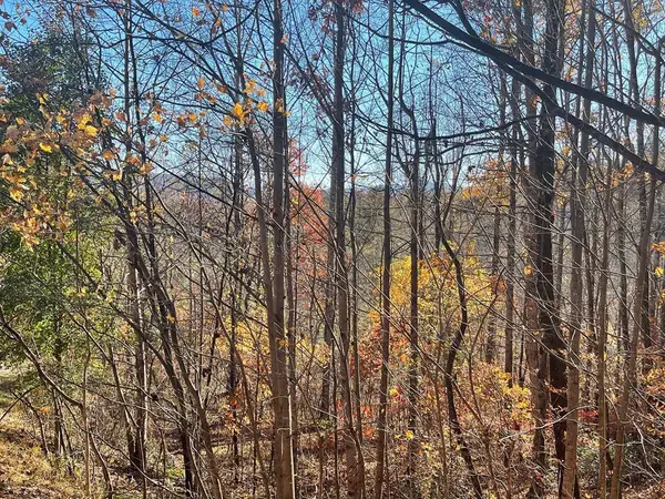 Lot 41C Ash Branch Circle, Hayesville, NC 28904