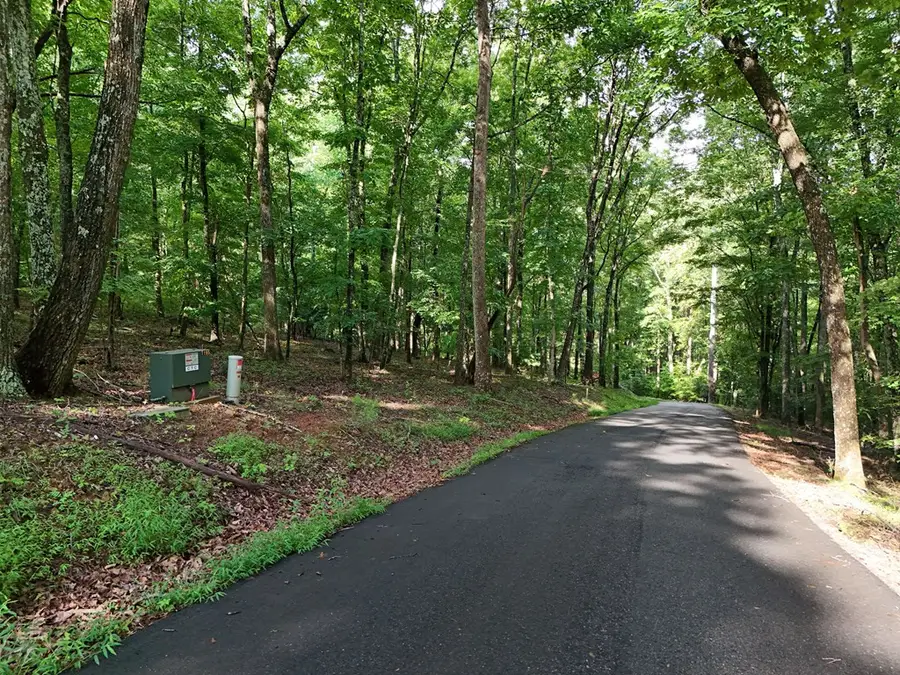 Lot 100 Valley Crest Drive, Blairsville, GA 30512 - #3